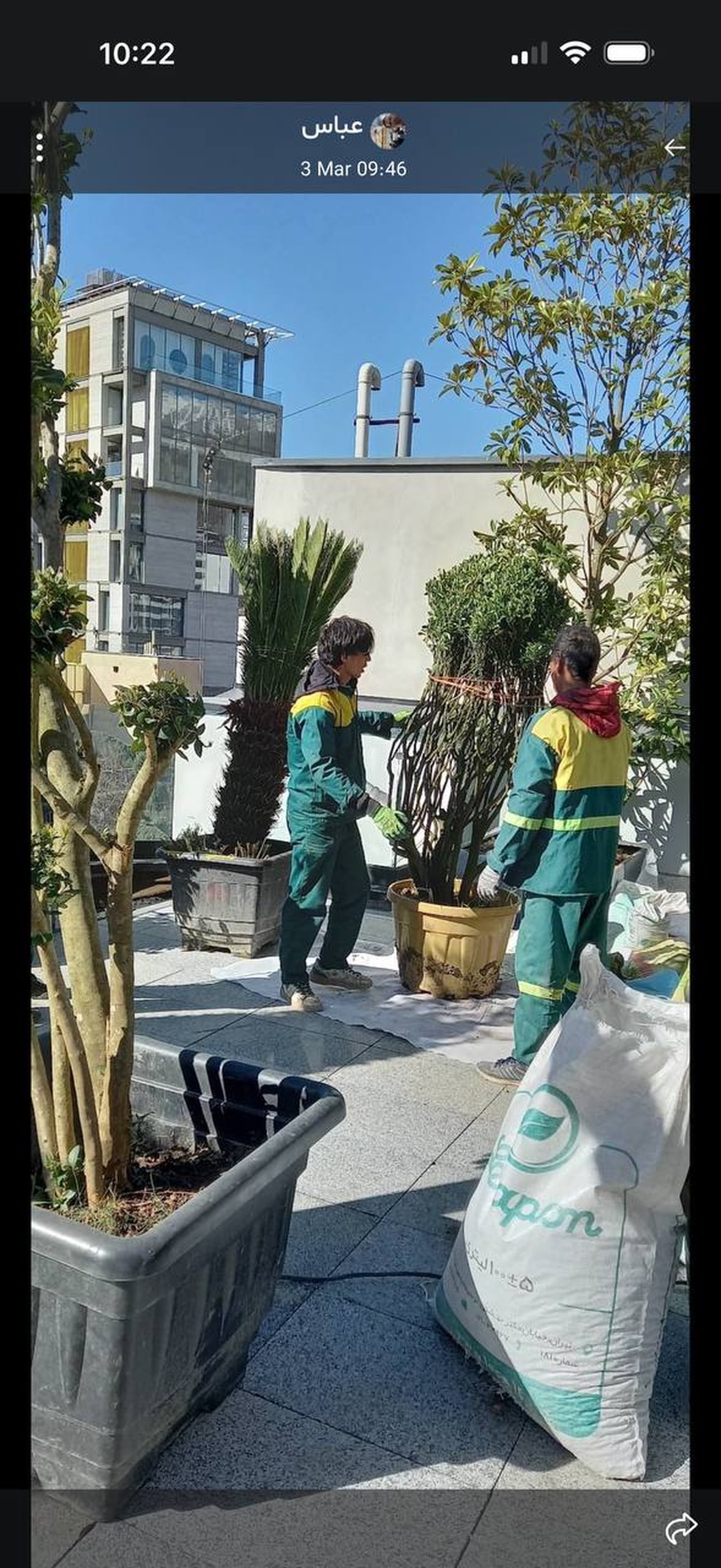 تیم اجرا در حال گلدان‌گذاری
